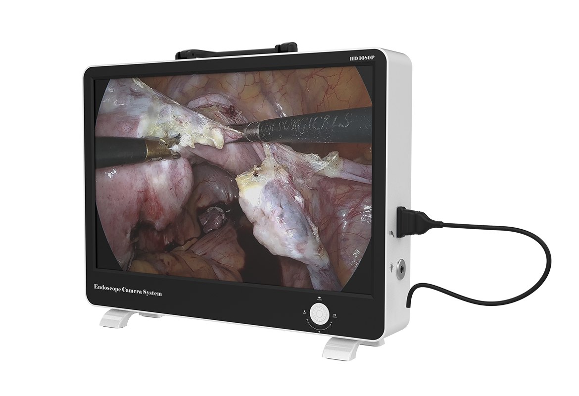 31.5-inch Mini LED Medical Display