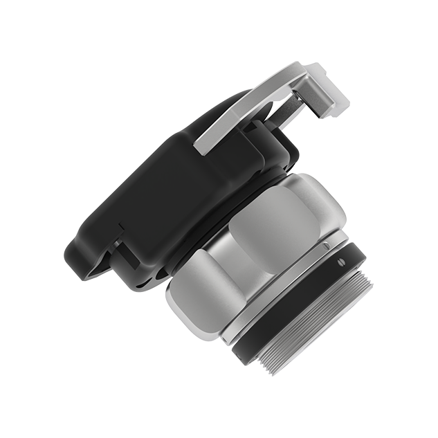 Endoscope fixed focus adapter